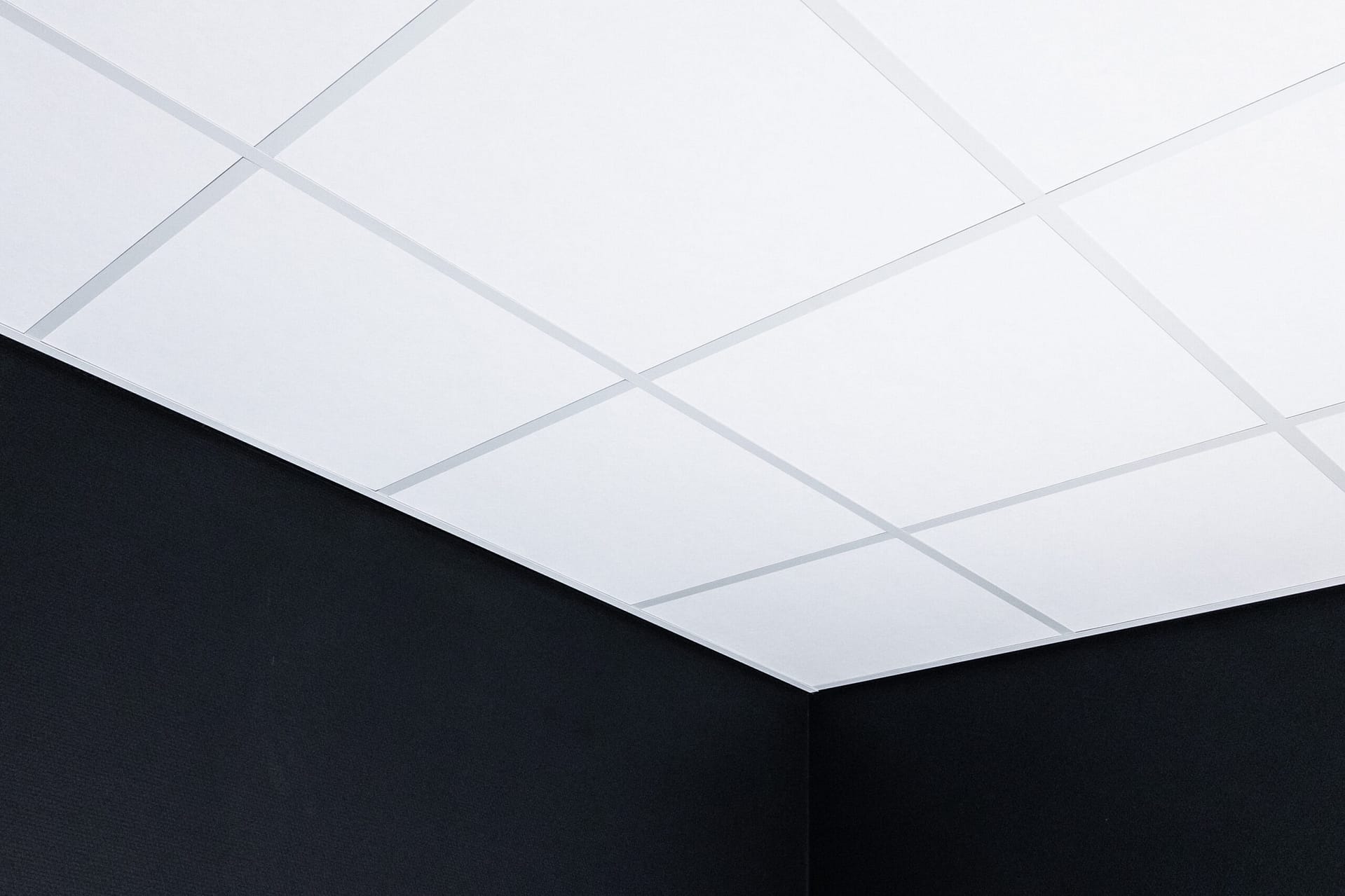 Ecophon Focus inleg 600x1200x20mm systeemplafond