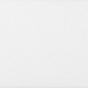 Ecophon Focus inleg 600x600x20mm detail